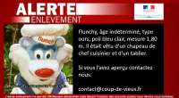 flunchy-alerte
