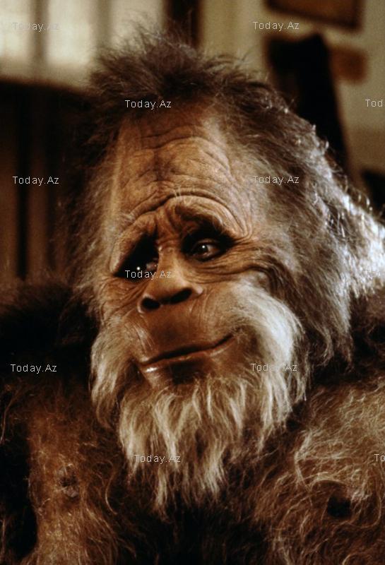 541_harry_et_les_henderson_bigfoot__3