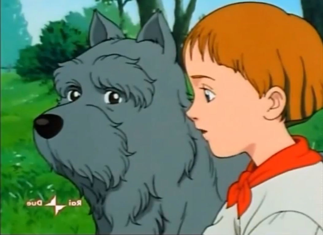75_un_chien_des_flandres_2