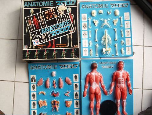 Anatomie 2000