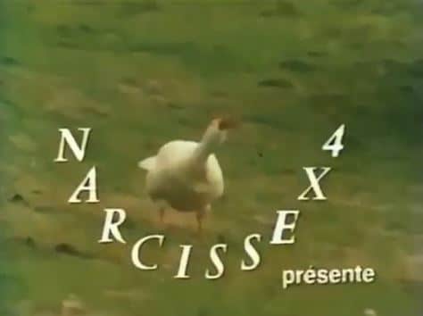 Narcisse x4 ou l’oie qui grogne et tousse