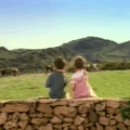 On va voir les vaches ?